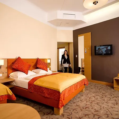 ドライ ラーベン ホテル 4*