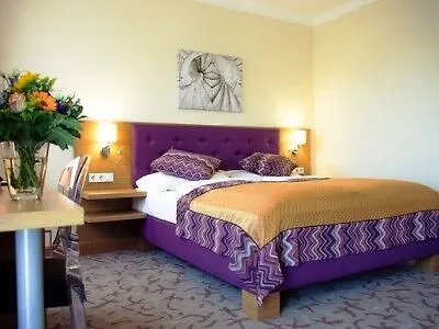 ドライ ラーベン ホテル 4*