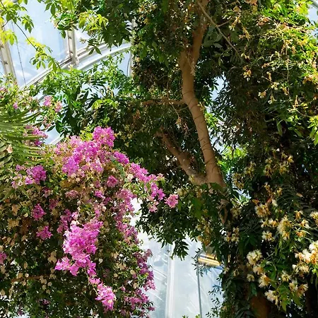 Drei Raben מלון 4*